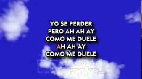 Como la Flor – Selena