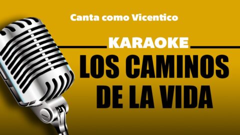 Los Caminos de la Vida – Vicentico