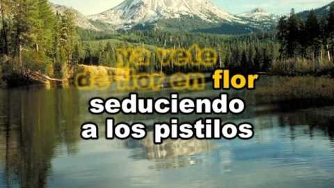 Mariposa Traicionera – Maná