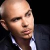 Pitbull