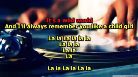 Wild World – Cat Stevens