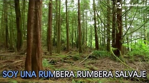 El Baile del Gorila – Melody