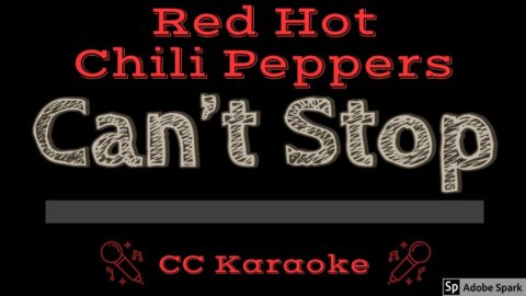 Can’t Stop – Red Hot Chili Peppers