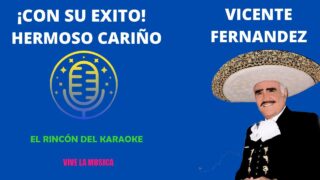 Hermoso cariño – Vicente Fernández