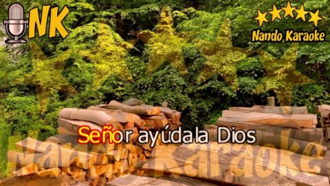 Qué tiene la niña – Leo Dan