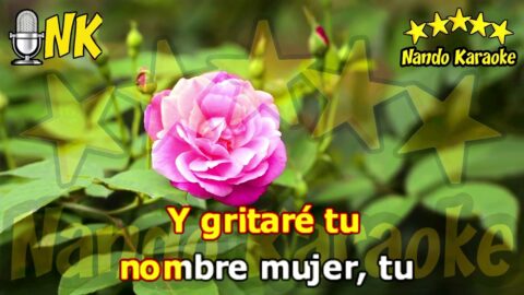 Yo sé que no es feliz – Leo Dan