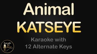 Animal – Katseye