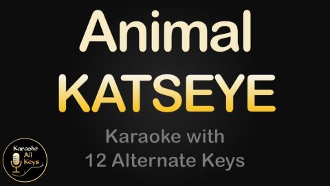 Animal – Katseye