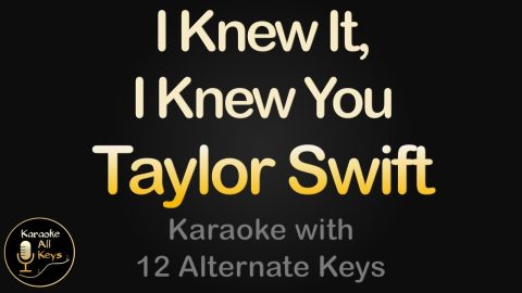 I Knew It, I Knew You – Taylor Swift