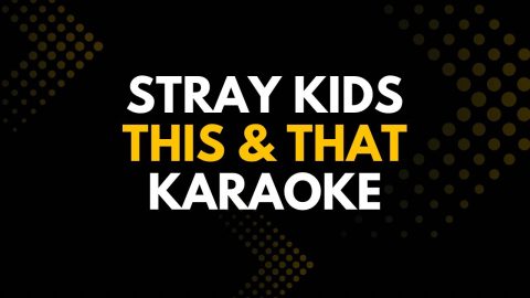 This & That – Stray Kids